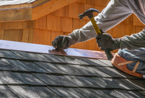 Best Metal Roofing Installation  in Moapa Valley, NV